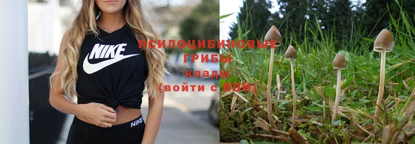 мефедрон мука Вяземский